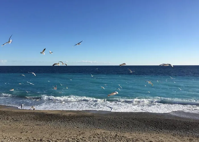 Palais Elisabeth Promenade Des Anglais